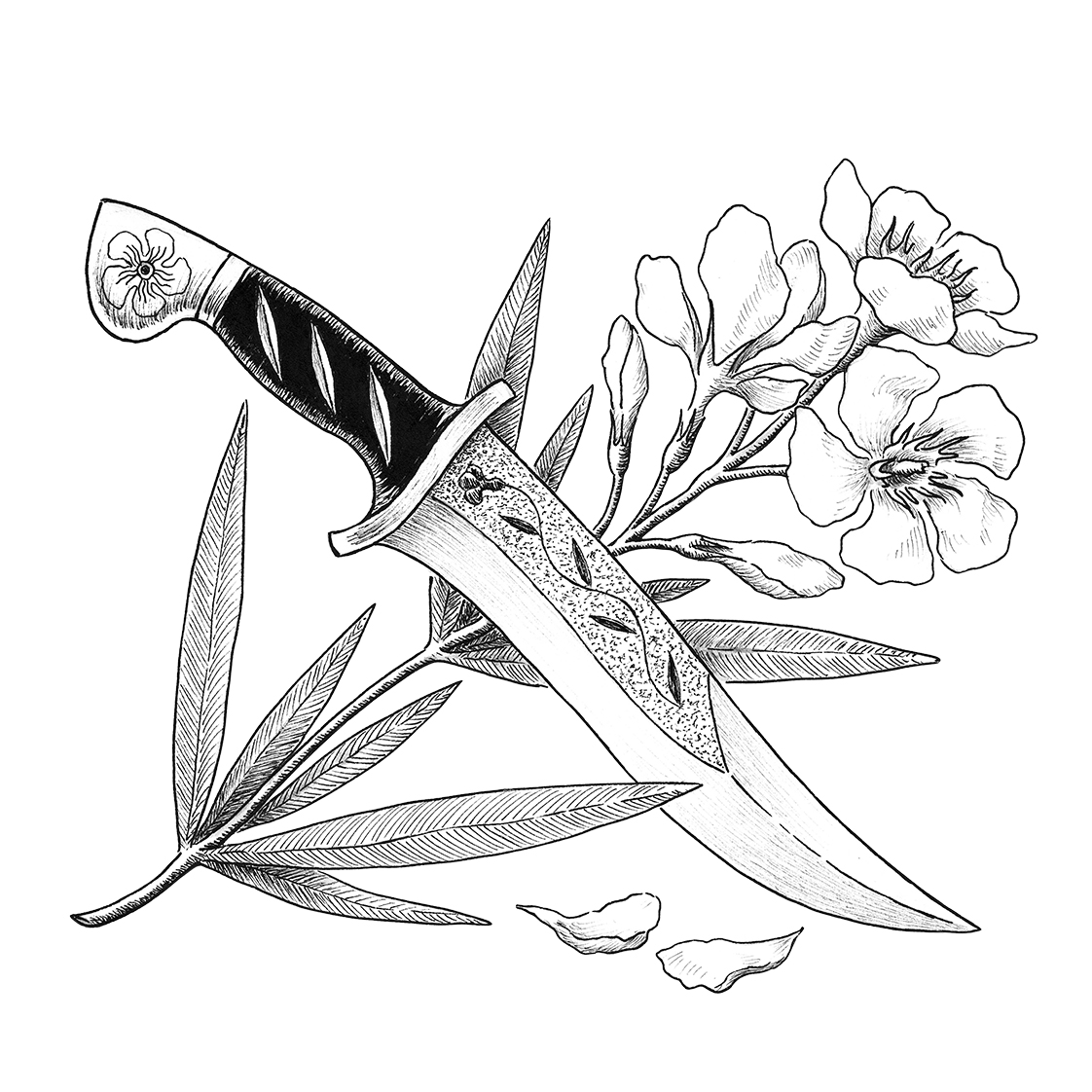 Oleander – grafika do okładki